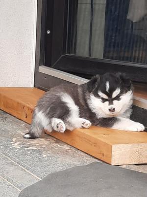 images/J-Wurf/Jane Fonda/Jane-Fonda-5-1.jpeg